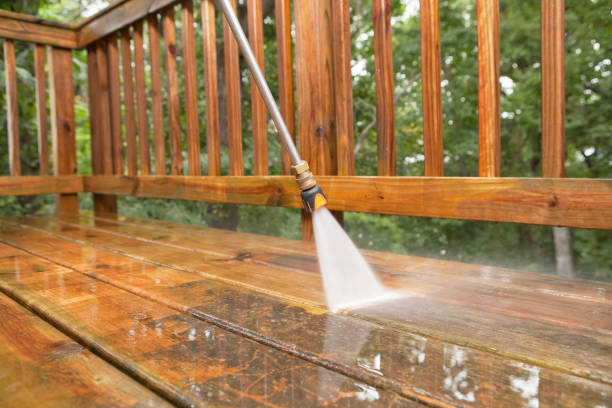 Best Driveway Pressure Washing  in Orida Gulf Coast University, FL